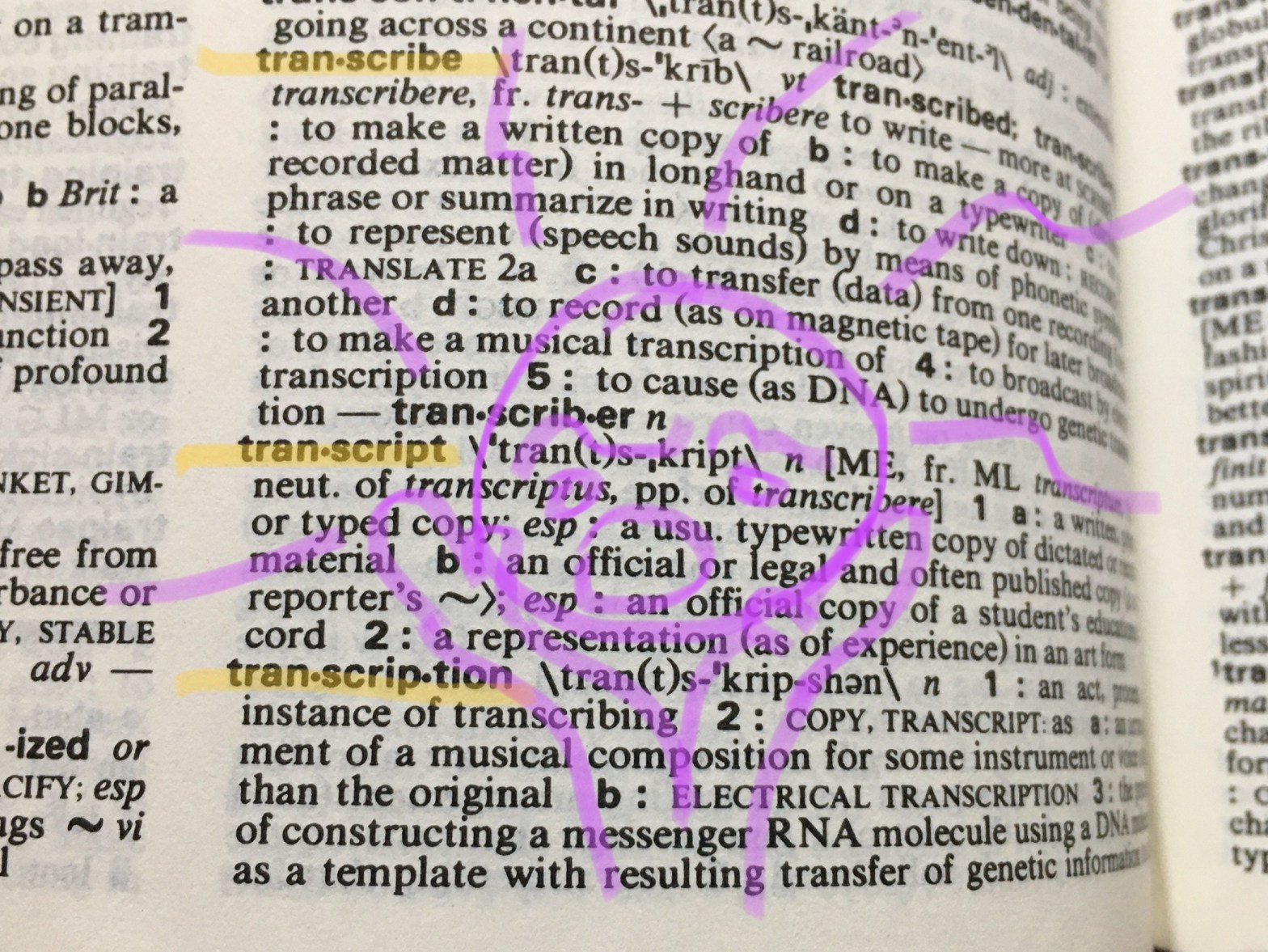 Three dictionary entries with a purple stick figure screaming
