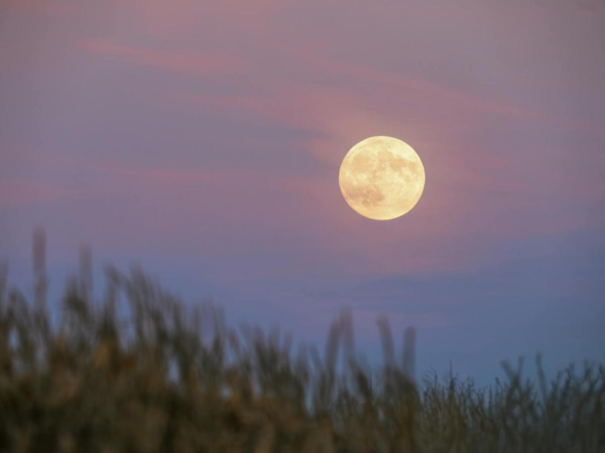 That Autumnal Feeling